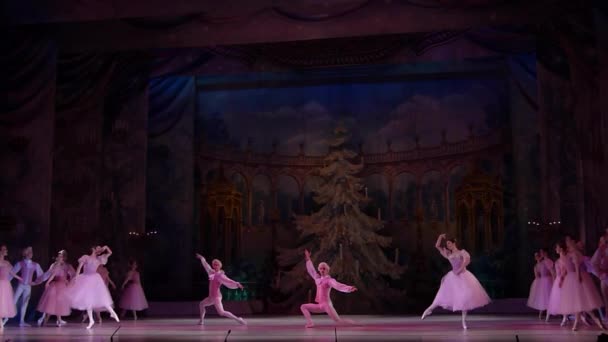 Dnipro Oekraïne Februari 2019 Notenkraker Ballet Uitgevoerd Door Leden Van — Stockvideo