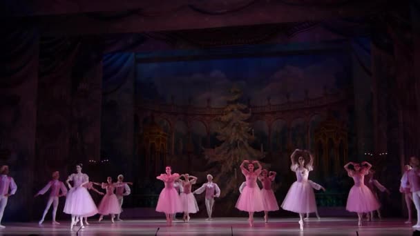 Dnipro Ukraina Lutego 2019 Balet Dziadek Orzechów Wykonywane Przez Członków — Wideo stockowe