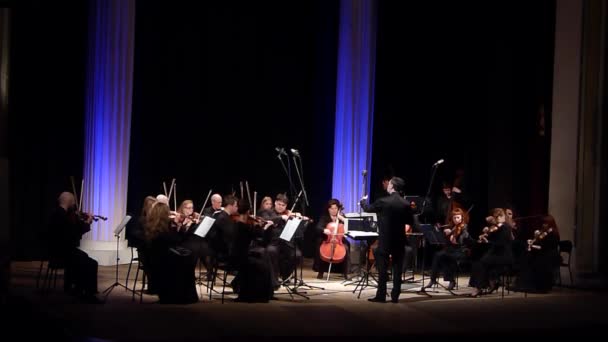 Dnipro Ukraine March 2019 Four Seasons Chamber Orchestra Konduktor Utama — Stok Video