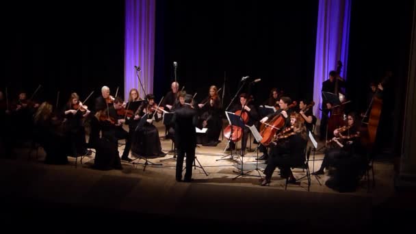 Dnipro Ucraina Marzo 2019 Quattro Stagioni Orchestra Camera Direttore Principale — Video Stock