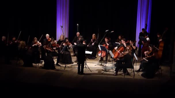 Dnipro Ukraine March 2019 Four Seasons Chamber Orchestra Main Conductor — Stock Video