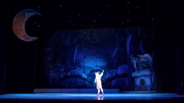 Dnipro Ukraine Janvier 2018 Nuit Avant Ballet Noël Interprété Par — Video