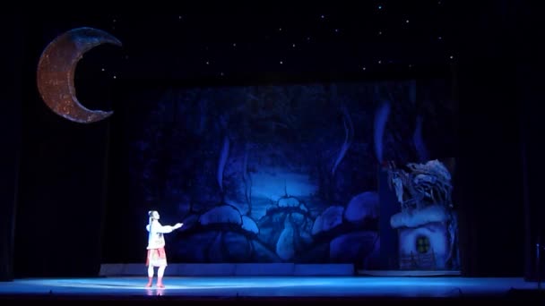 Dnipro Ukraina Stycznia 2018 Nocy Christmas Balet Wykonywane Przez Członków — Wideo stockowe