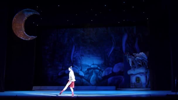 ドニエプル ウクライナ 2018 ドニプロ オペラ バレエ劇場のメンバーによって実行されるクリスマス バレエ前夜 — ストック動画