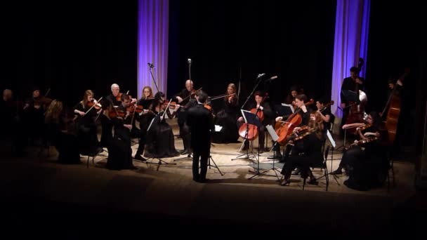 Dnipro Oekraïne Maart 2019 Four Seasons Chamber Orchestra Hoofddirigent Dmitry — Stockvideo