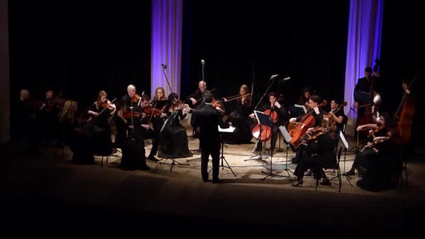 Dnipro Ukraine March 2019 Four Seasons Chamber Orchestra Main Conductor — Stock Video