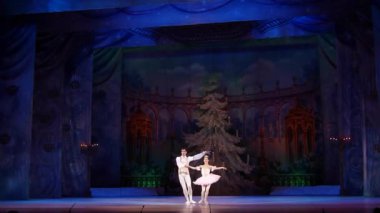 Dnipro, Ukrayna - 15 Şubat 2019: Dnipro Opera ve bale Tiyatrosu üyeleri tarafından gerçekleştirilen Fındıkkıran Balesi.