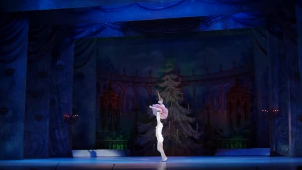 Dnipro Ucrania Febrero 2019 Ballet Cascanueces Interpretado Por Miembros Del — Vídeo de stock