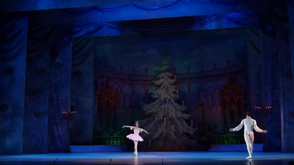 Dnipro Oekraïne Februari 2019 Notenkraker Ballet Uitgevoerd Door Leden Van — Stockvideo