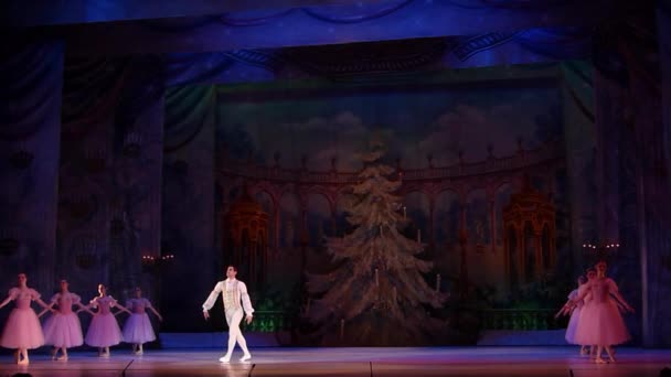 Dnipro Ukraine Februar 2019 Nussknacker Ballett Mit Mitgliedern Des Opern — Stockvideo