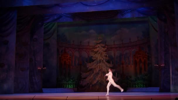 Dnipro Ukraine February 2019 Nutcracker Ballet Performed Members Dnipro Opera — Stock Video