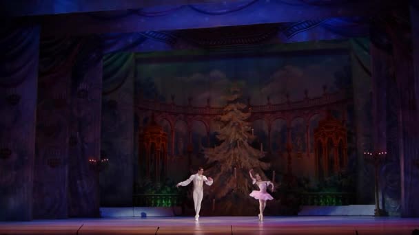 Dnipro Ukraina Februari 2019 Nötknäpparen Ballet Utförs Medlemmar Dnipro Opera — Stockvideo