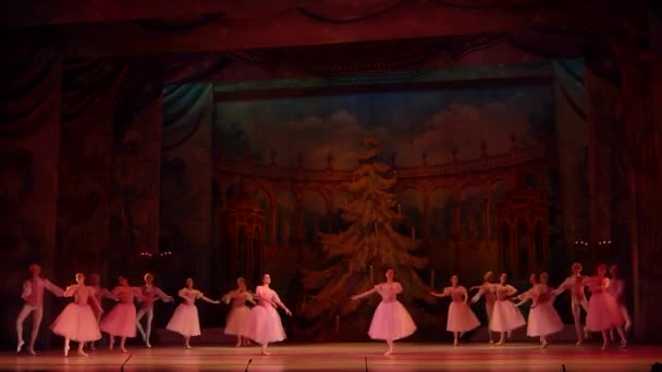 ドニプロ オペラ バレエ劇場のメンバーによって実行されるドニエプル ウクライナ 2019 くるみ割り人形バレエ — ストック動画