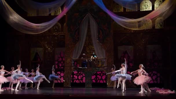 Dnipro Ukraina Marca 2019 Baletu Klasycznego Corsair Wykonywane Przez Członków — Wideo stockowe