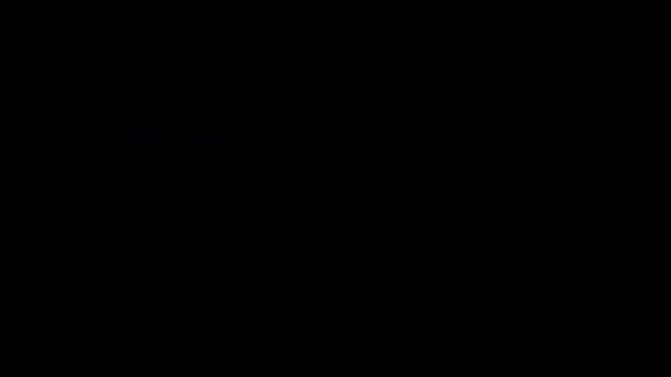 Днипро Украина Апреля 2019 Года Мюзикл Джазе Девушки Исполнении Членов — стоковое видео