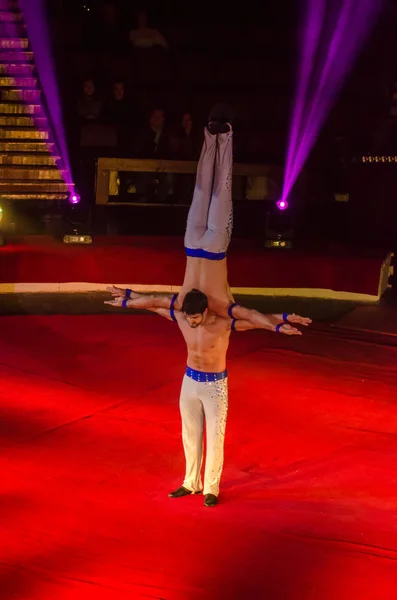 Night at the circus — Stock Photo, Image