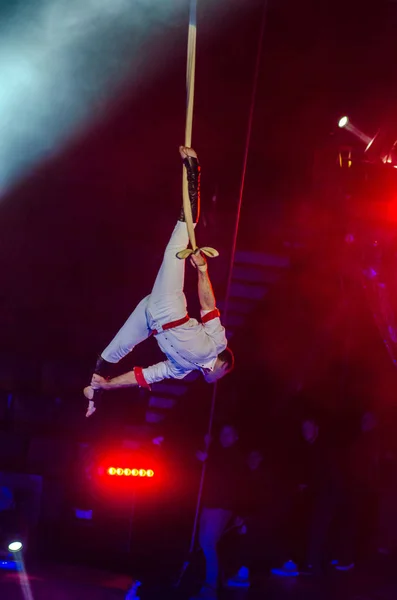 Night at the circus — Stock Photo, Image