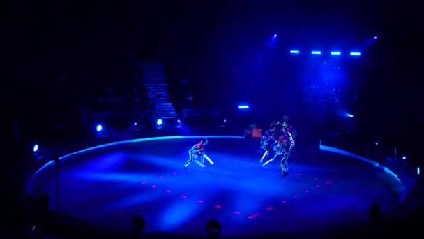 乌克兰 Dnipro 2018年12月14日 梅朗格艺术工作室成员在马戏团表演霓虹灯表演 — 图库视频影像