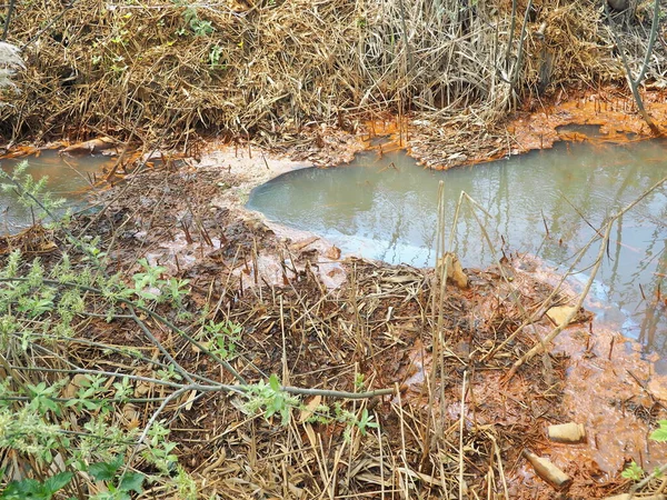 Small river water polluted by rust and solid waste. Sewage in nature. Ecological catastrophe.
