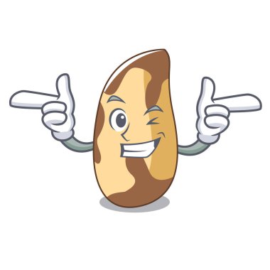 Wink Brezilya cevizi karakter karikatür vektör çizim
