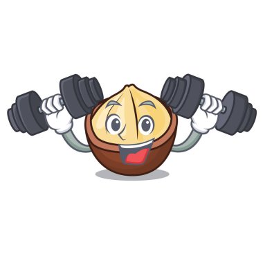 Fitness macadamia karakter karikatür tarzı vektör çizim