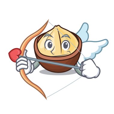 Aşk tanrısı macadamia karakter karikatür tarzı vektör çizim