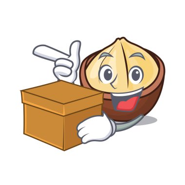 Kutusu macadamia karakter karikatür tarzı vektör çizim ile