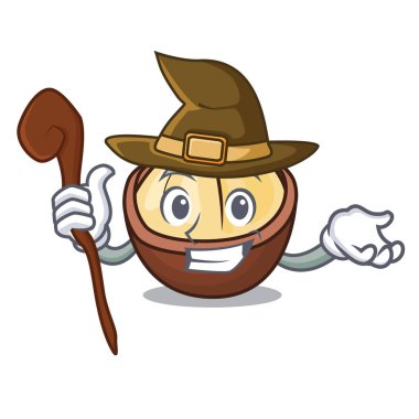 Cadı macadamia maskot karikatür tarzı vektör çizim