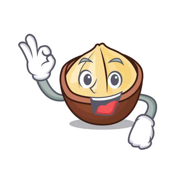 Oke Karakter Macadamia Gambar Vektor Gaya Kartun - Stok Vektor