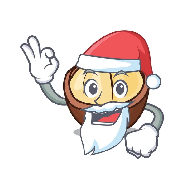 Santa Macadamia Mascota Dibujos Animados Estilo Vector Ilustración — Vector de stock