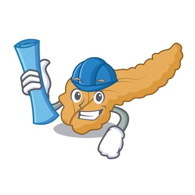 Mimar pankreas karakter karikatür tarzı vektör çizim