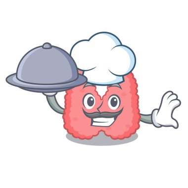 Şef gıda tiroid maskot karikatür tarzı vektör çizim ile