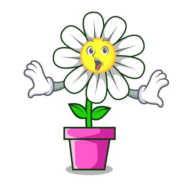 Überrascht Gänseblümchen Blume Maskottchen Cartoon Vektor Illustration — Stockvektor