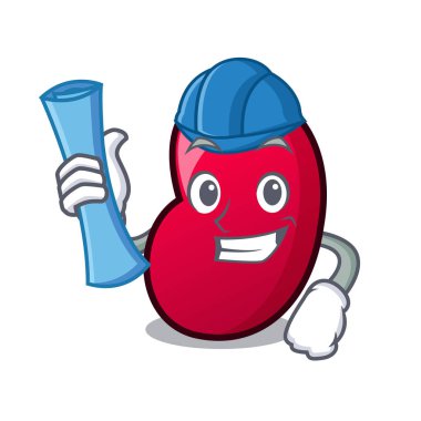 Mimar jöle fasulye karakter karikatür vektör çizim