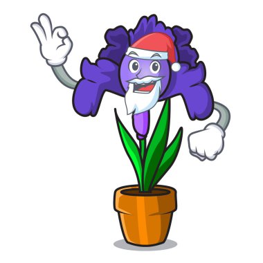 Santa Iris çiçek maskot çizgi film
