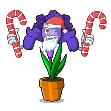 Santa şeker Iris çiçek maskot karikatür ile