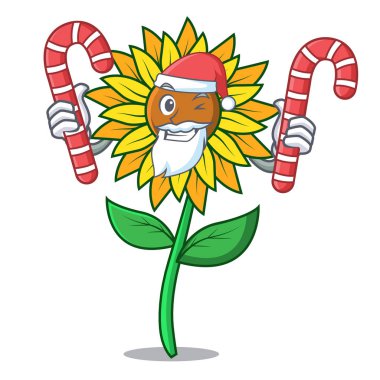 Santa şeker ayçiçeği maskot karikatür tarzı ile
