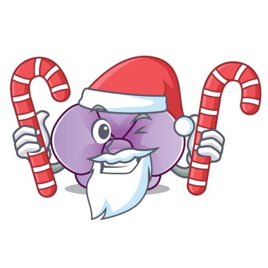 Santa şeker orkide çiçek maskot karikatür vektör çizim ile