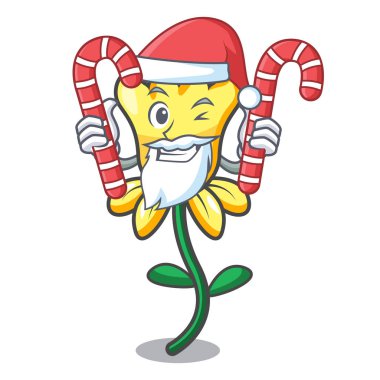 Santa şeker nergis çiçek maskot karikatür vektör çizim ile