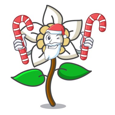 Santa şeker Yasemin çiçeği maskot karikatür vektör çizim ile