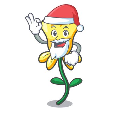 Santa nergis çiçek maskot karikatür vektör çizim