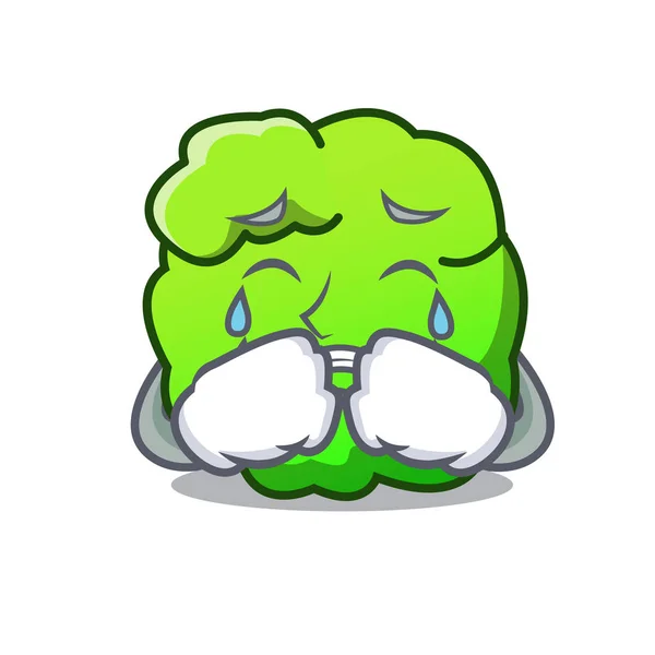 Arbusto llorón mascota estilo de dibujos animados — Vector de stock