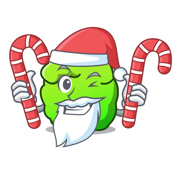 Weihnachtsmann mit Süßigkeiten Strauch Maskottchen Cartoon-Stil — Stockvektor