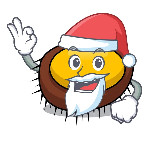 Mascotte Santa Oursin Illustration Vectorielle Dessin Animé — Image vectorielle
