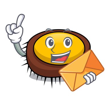 Zarf deniz kestanesi karakter karikatür vektör çizim ile