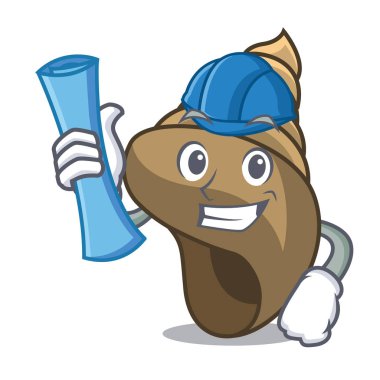 Mimar sarmal kabuk karakter karikatür vektör çizim