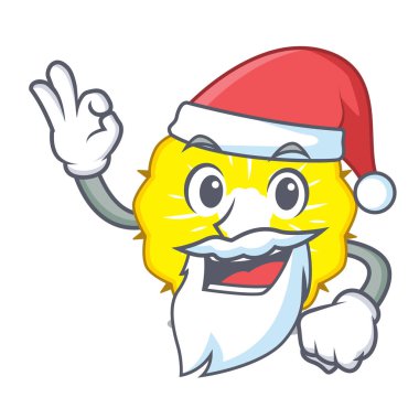Maskot vektör illüstrasyon izole Santa ananas dilim