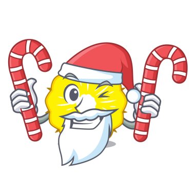 Santa maskot vektör illüstrasyon izole şeker ananas dilim ile