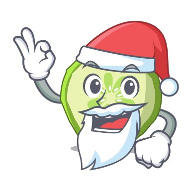 Noel Baba sebze organik gıda dilim salatalık maskot