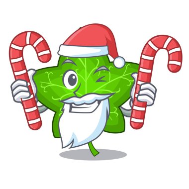 Santa şeker maskotu ile güzel sarmaşık yaprağı bitki vektör çizim karikatür